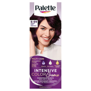 PALETTE CREAM HAJFESTÉK 6-99 INTENZÍV IBOLYA