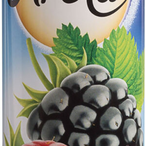GENERAL FRESH AROLA LÉGFRISSÍTŐ 400ML ERDEI GYÜMÖLCS